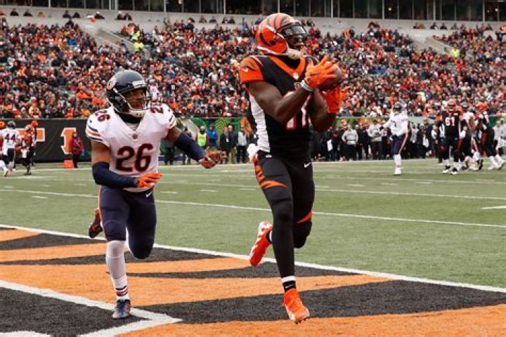 Deon Bush Age And Height: 10 Facts To Know