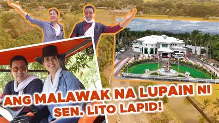 Lito Lapid's Wife Now: A Look Into Their Life Together
