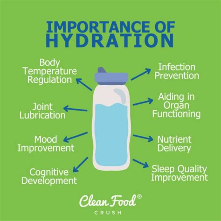 Quiero Agua: The Essential Quest For Hydration