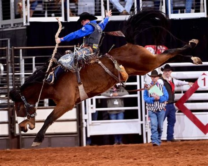 Unbridled Spirit: The Legacy Of The West Texas Fair And Rodeo Bronc Rider