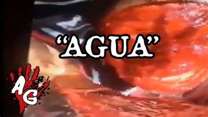 Unraveling The Quieres Agua Video Phenomenon