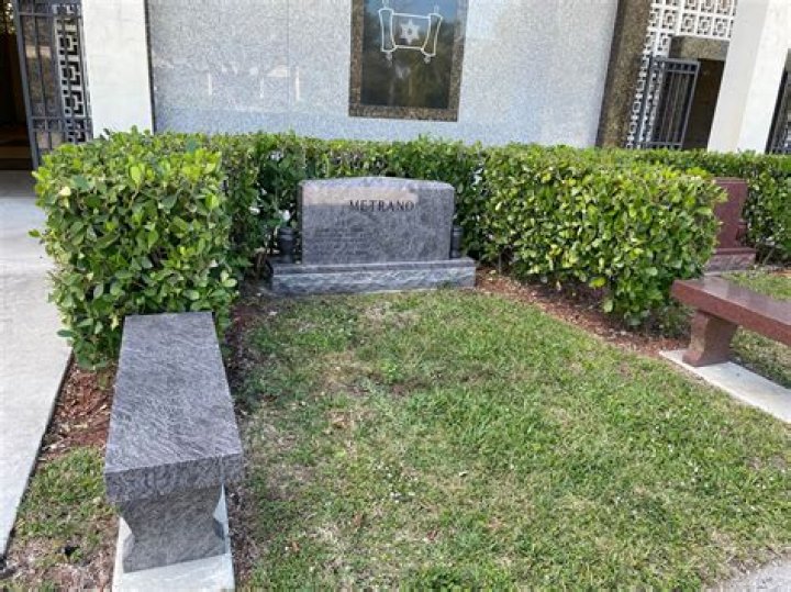 Who Is Harry Metrano? Details On Art Metrano Son